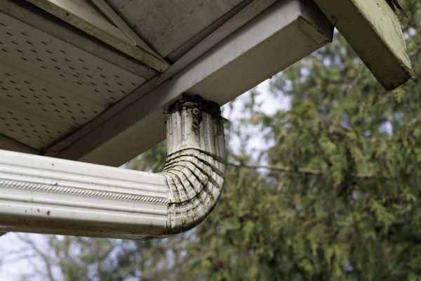 Cost of Roof Drain Replacement in Mooresville