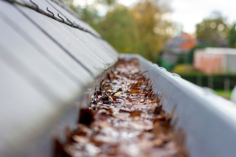 Clogged Gutter Blockage