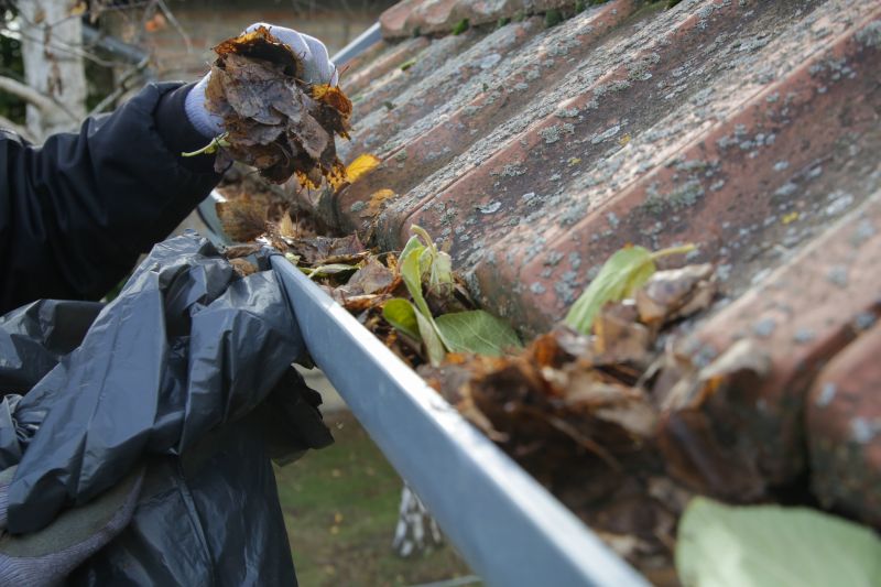 Leaf Debris Removal