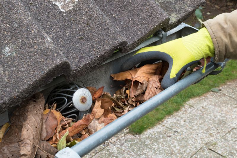 Gutter Maintenance Work
