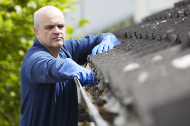 Handyman Services for Gutter Maintenance